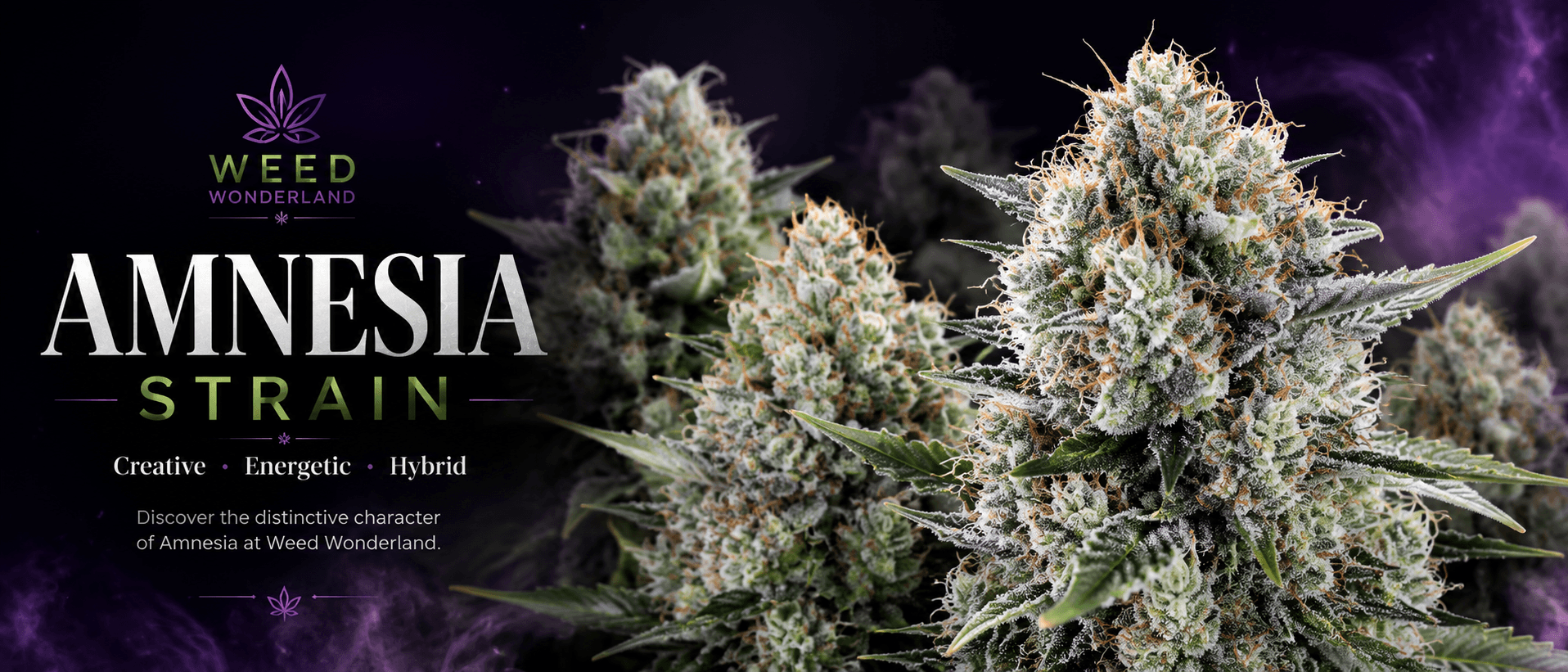 Buy Amnesia today online UK pay crypto Buy Amnesia today online UK pay crypto