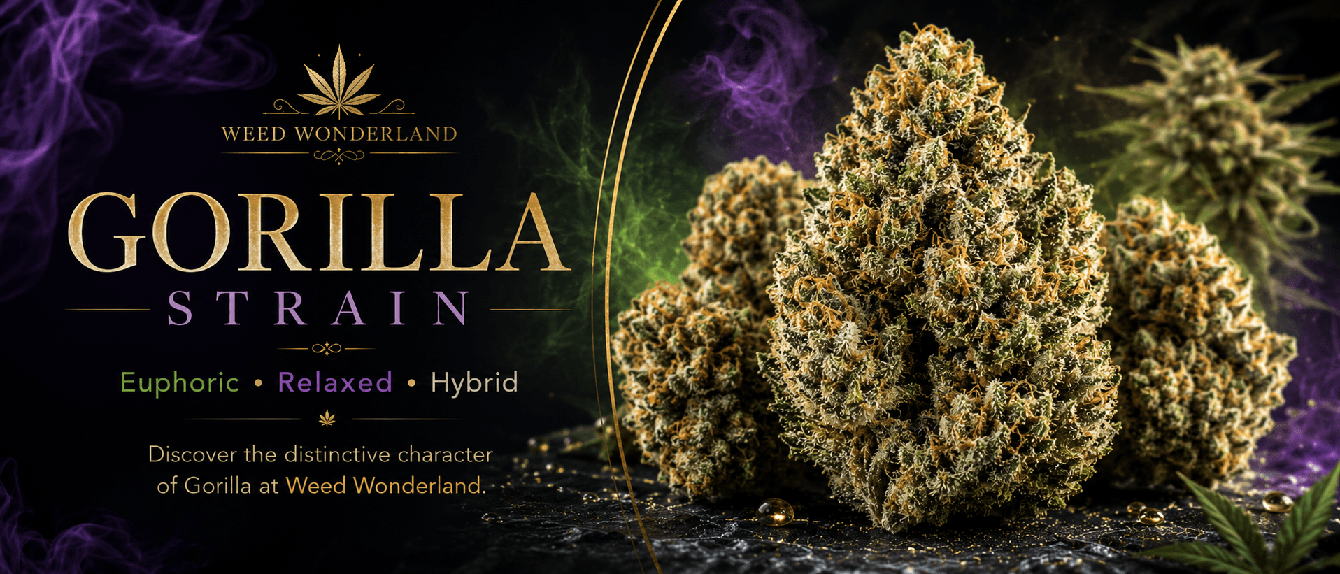 Buy Gorilla today online UK pay crypto Buy Gorilla today online UK pay crypto