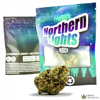 Northern Lights