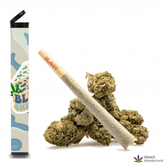 Blue Cheese  • Pre-Roll