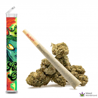 Alien OG • Pre-Roll