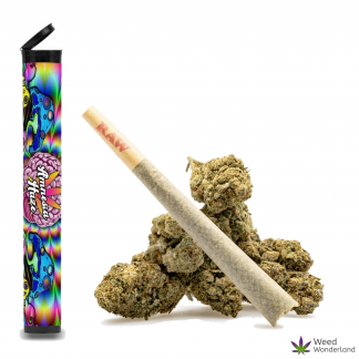 Amnesia Haze • Pre-Roll