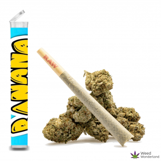 Banana Sherbet• Pre-Roll