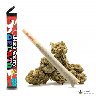 Black Cherry Gelato • Pre-Roll