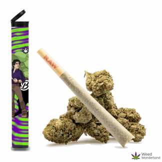 Bruce Banner • Pre-Roll