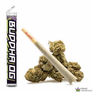 Buddha OG • Pre-Roll