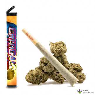 Critical Kush • Pre-Roll