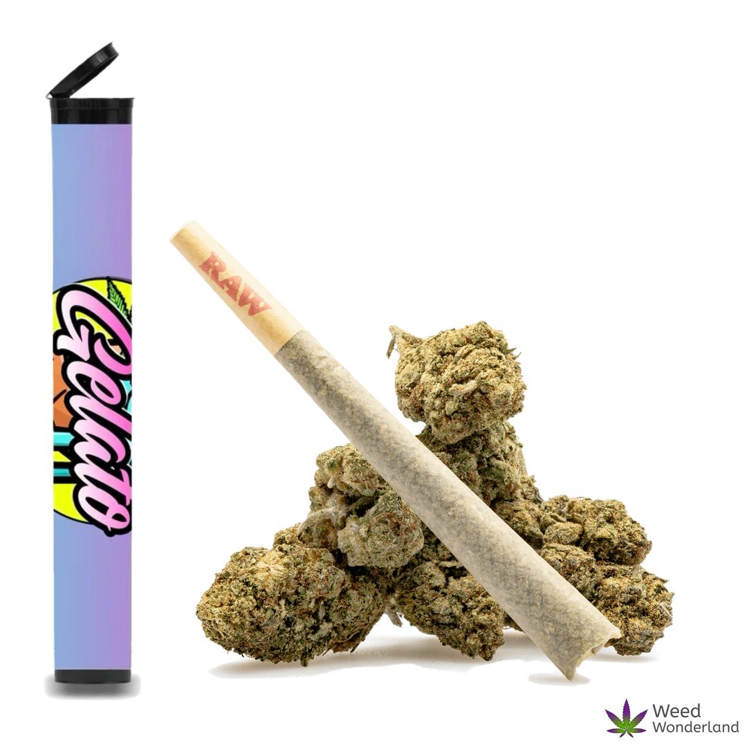 Buy Pre-rolled joints Gelato • Pre-Roll