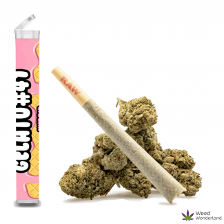 Gelato #41 • Pre-Roll