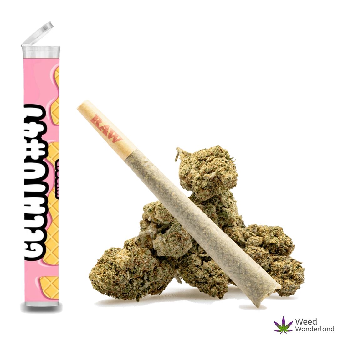 Gelato #41 • Pre-Roll