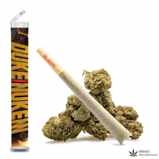 Duke Nukem • Pre-Roll
