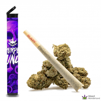 Purple Punch • Pre-Roll