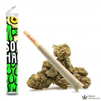 Sour Haze • Pre-Roll