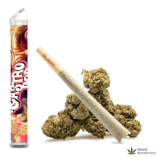Gastro Pop • Pre-Roll