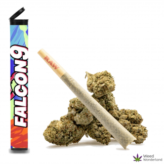 Falcon 9 • Pre-Roll