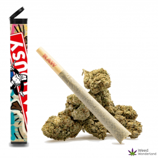 Jealousy • Pre-Roll