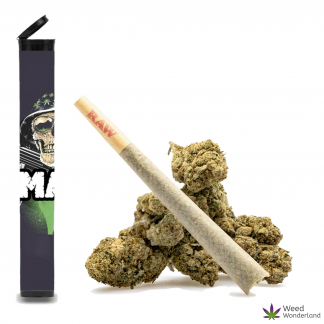 Mac 1 • Pre-Roll
