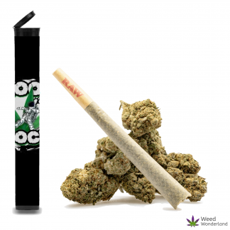 Moon Rock • Pre-Roll