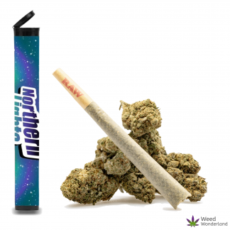 Northern Lights • Pre-Roll