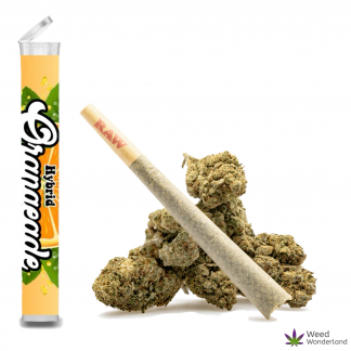 Orangeade • Pre-Roll