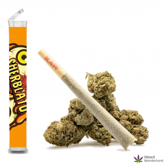Sherblato • Pre-Roll