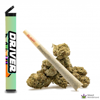 Sundae Driver • Pre-Roll
