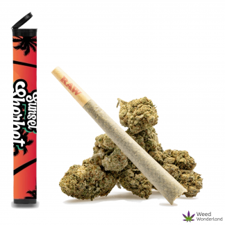 Sunset Sherbet • Pre-Roll