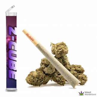 Z-Cube • Pre-Roll
