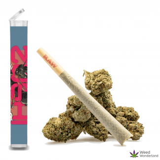 Blue Zushi • Pre-Roll