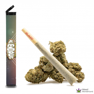 Alien Dawg • Pre-Roll