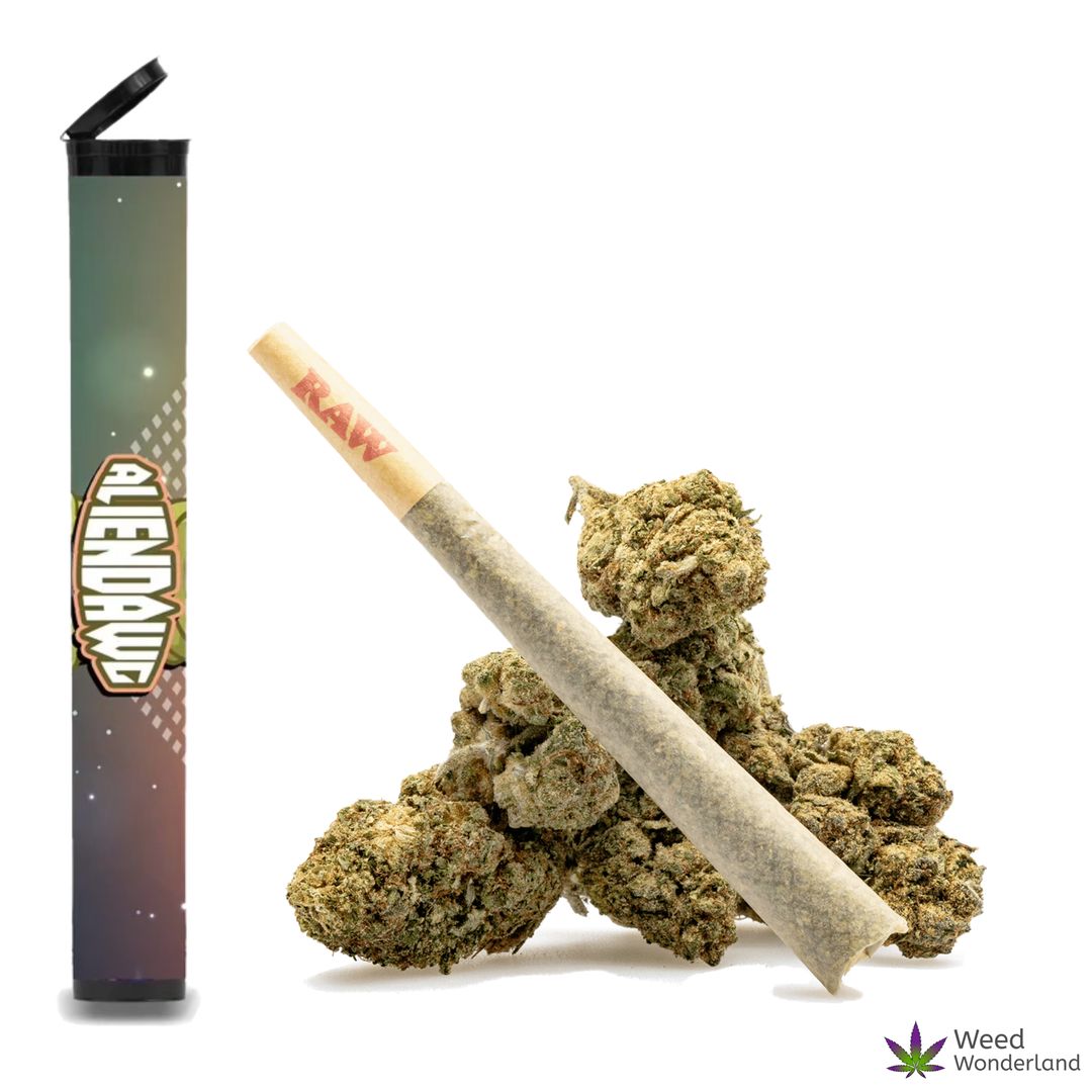 Alien Dawg • Pre-Roll