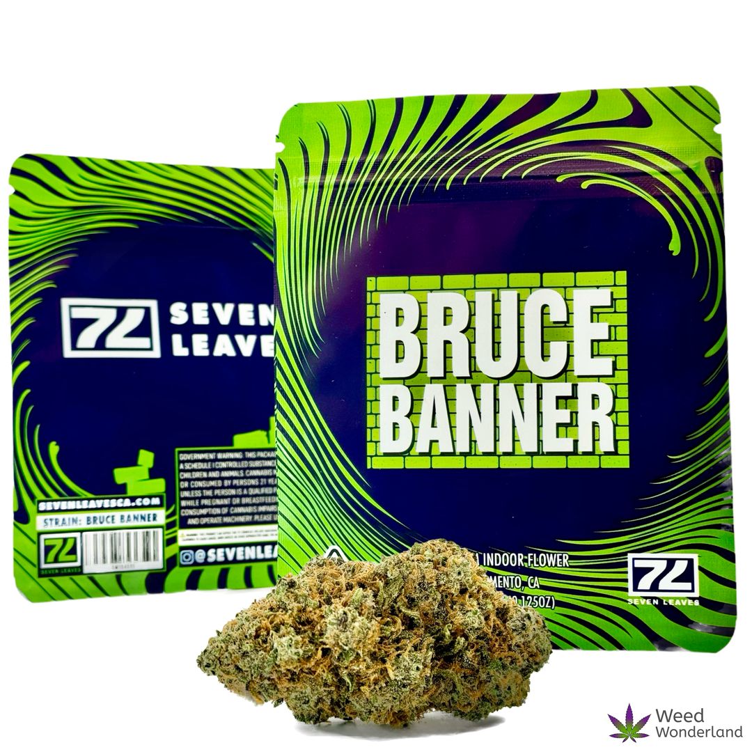 Bruce Banner