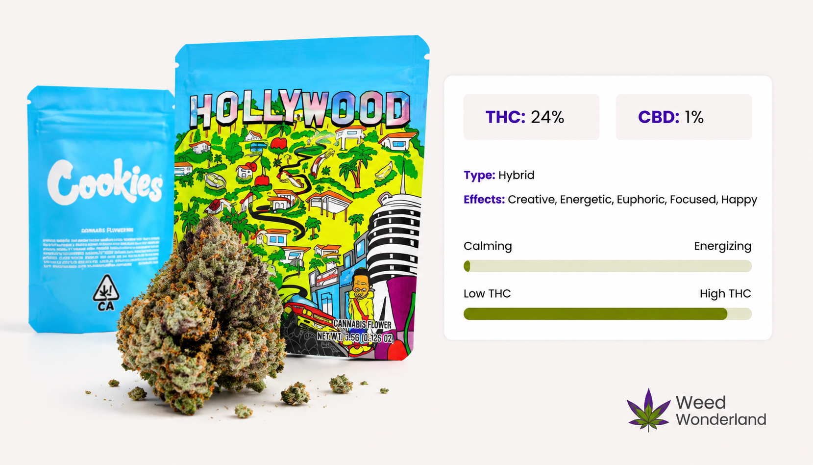 Caliweed Hollywood Weed Wonderland