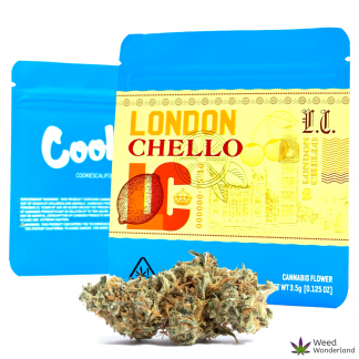 London Chello