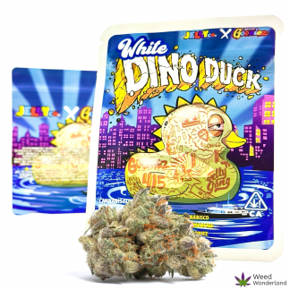 Dino Duck