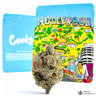 Hollywood
