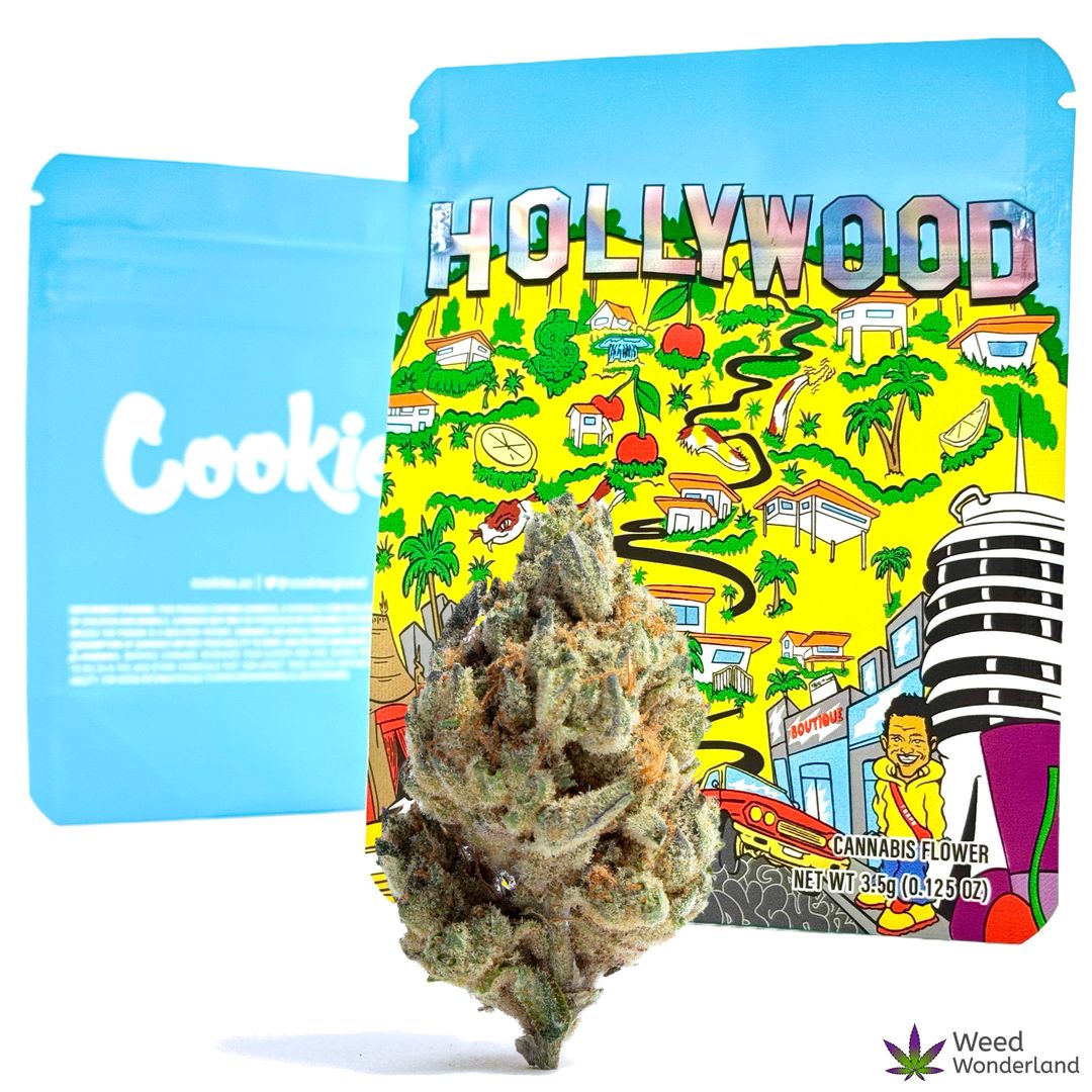 Hollywood