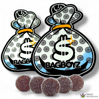 BagBoyz Coins