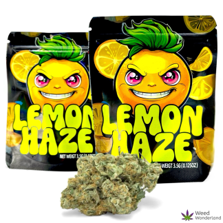 Lemon Haze
