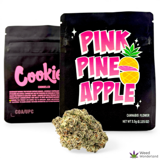 Pink Pineapple