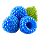 Blue Raspberry