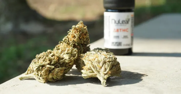 Buy Weed online with crypto in UK Weed Wonderland
