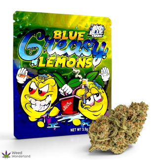 Blue Greasy Lemons